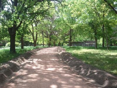 Прикрепленное изображение: шевченко1.jpg